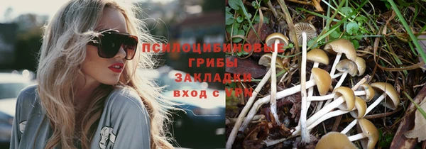 спиды Надым