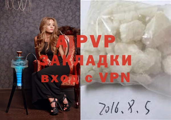 спиды Надым