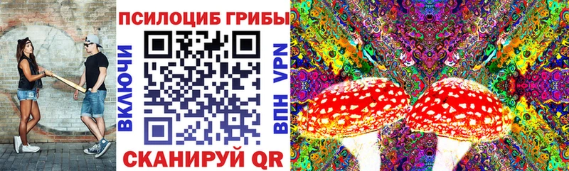 дарнет шоп  Зуевка  Псилоцибиновые грибы MAGIC MUSHROOMS 